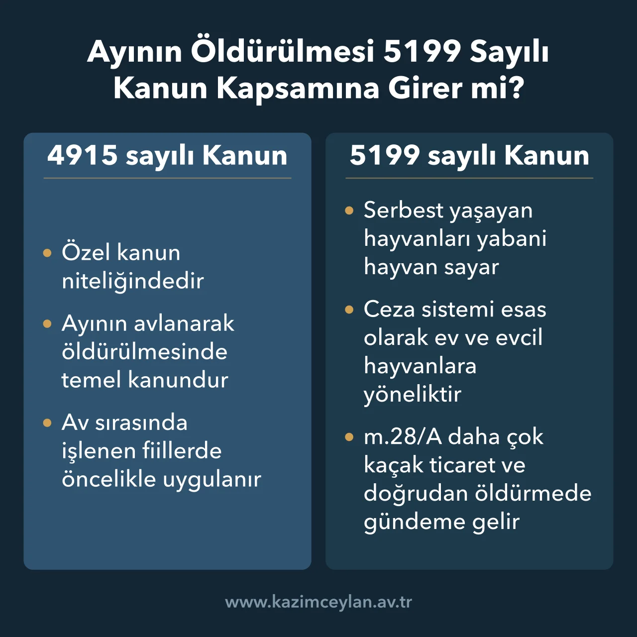 Ayının Öldürülmesi 5199 Sayılı Kanun Kapsamına Girer mi Ayının öldürülmesinde 4915 ve 5199 sayılı kanunların uygulama alanını karşılaştıran şema