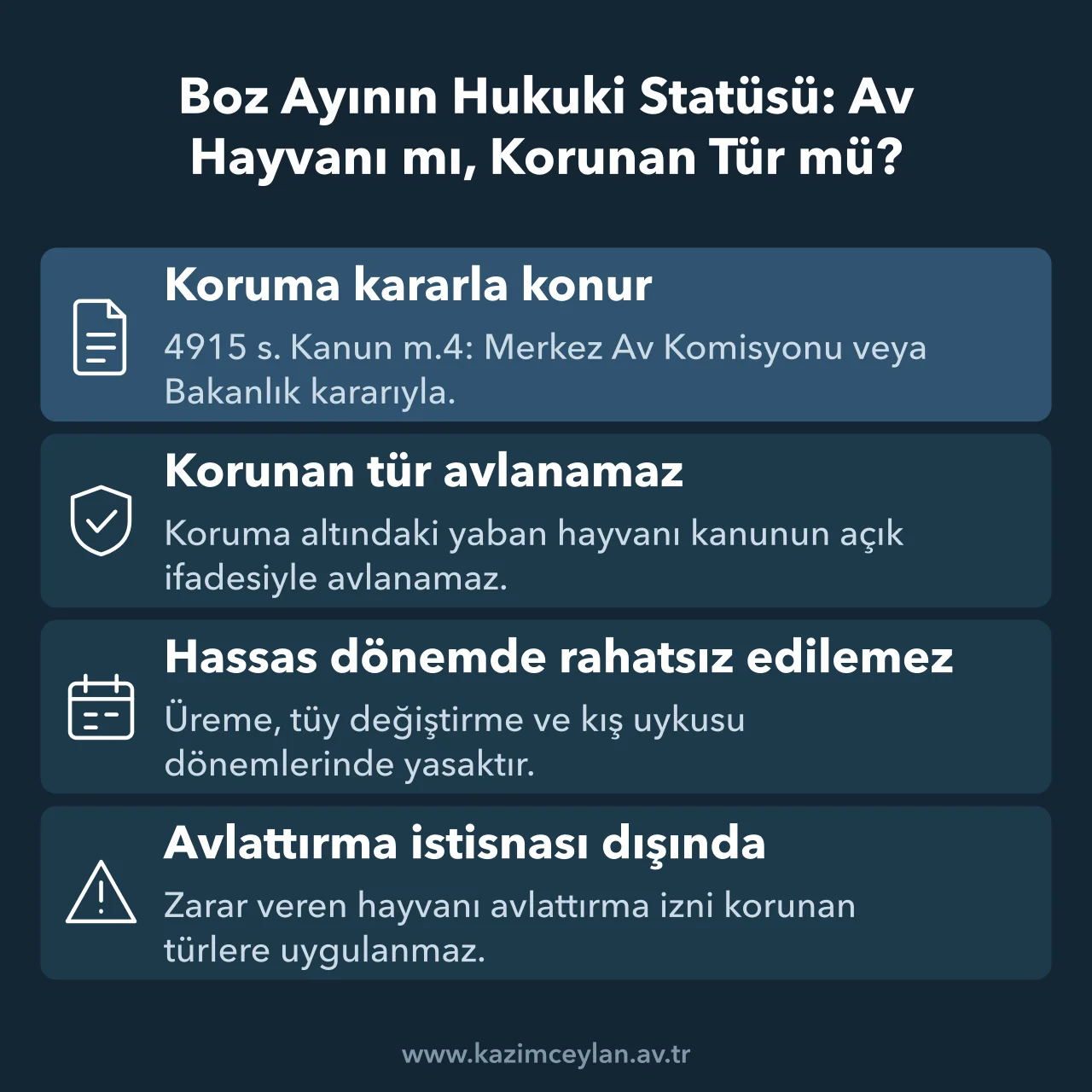 Boz Ayının Hukuki Statüsü Av Hayvanı mı, Korunan Tür mü Boz ayının koruma altındaki tür olarak avlanma yasağını ve istisnaları özetleyen kart