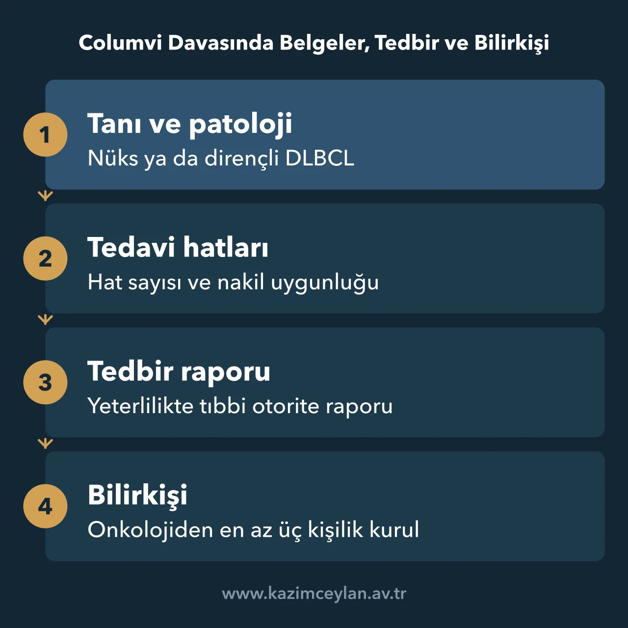 Columvi Davasında Belgeler, Tedbir ve Bilirkişi Columvi davasında hazırlanacak belgelerden bilirkişi kuruluna uzanan akış