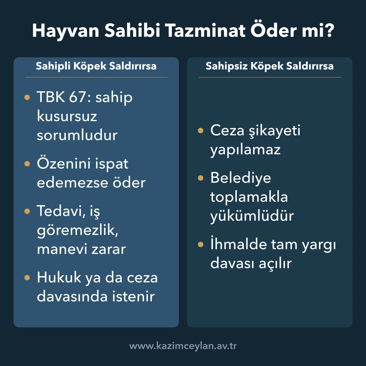 Hayvan Sahibi Tazminat Öder mi Sahipli ve sahipsiz köpek saldırısında tazminatın kimden ve nasıl istendiğini gösterir