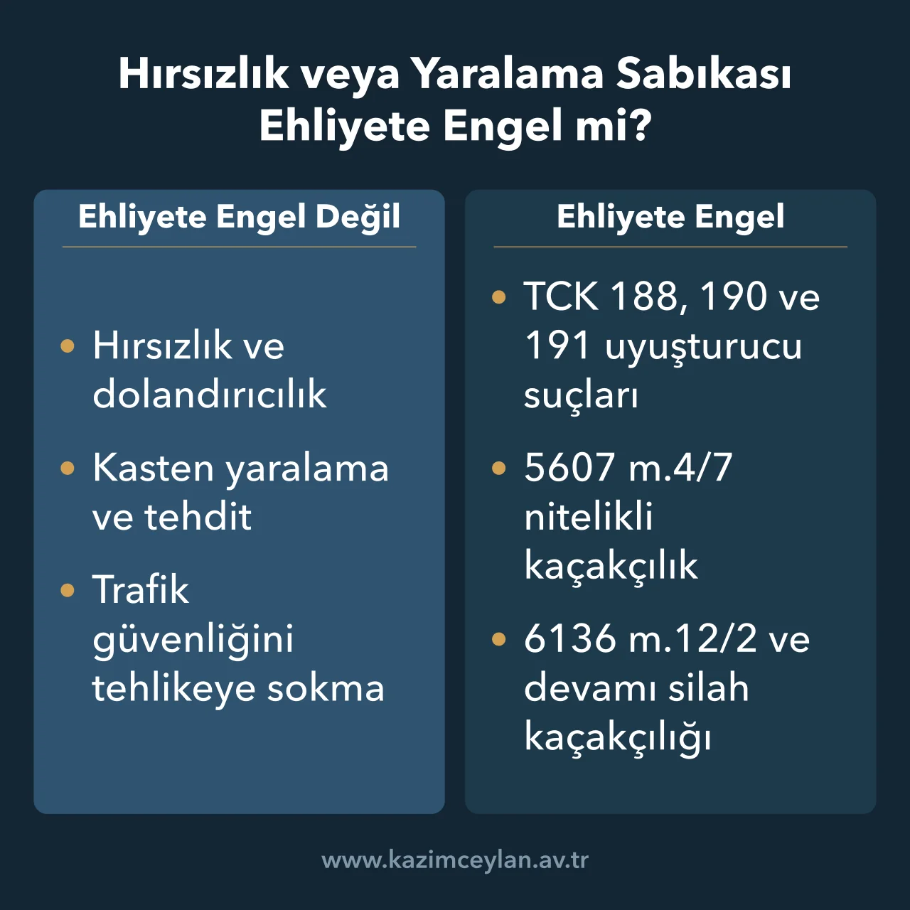 Sabıkası olan ehliyet alabilir mi sorusunda engel olan ve olmayan kayıtları gösteren şema