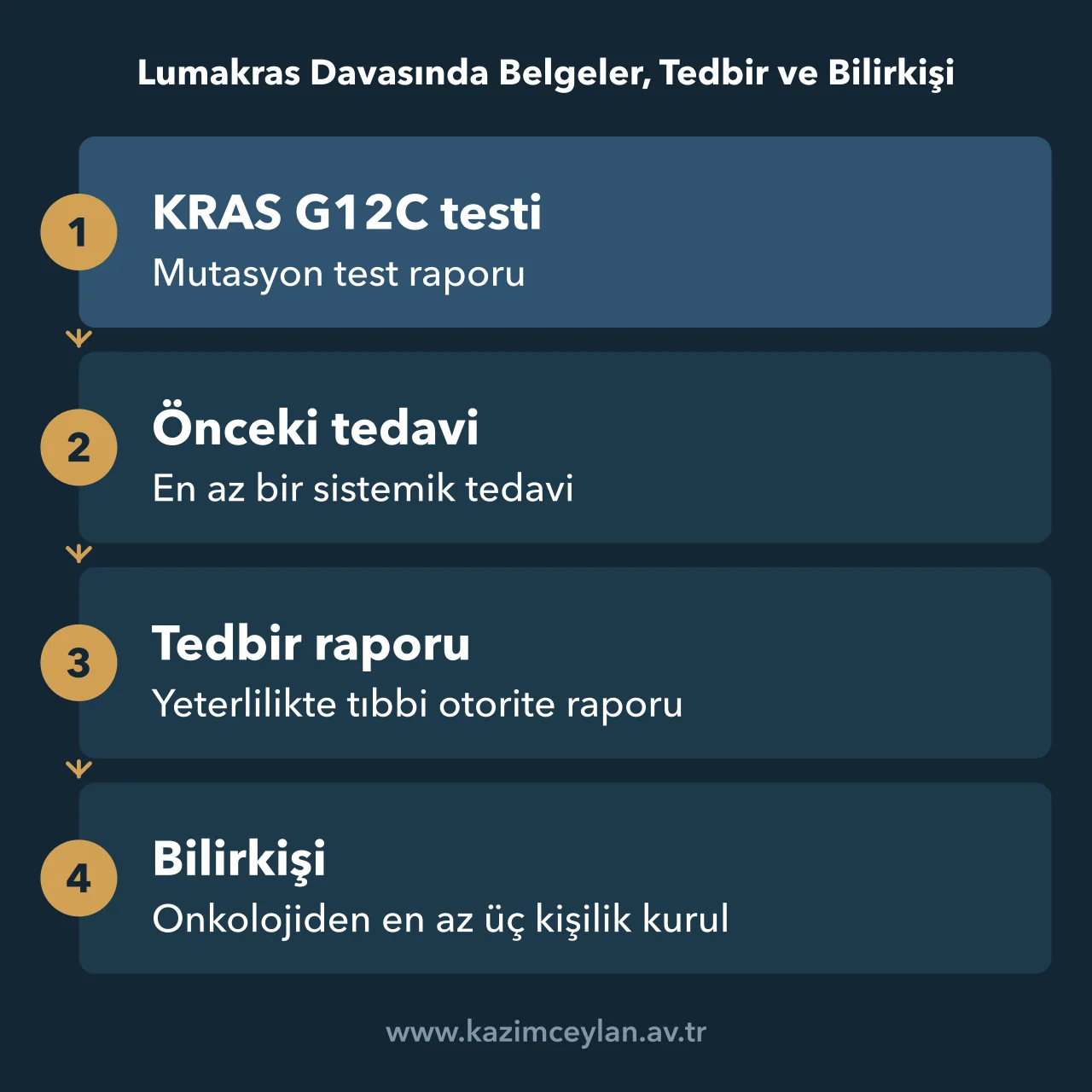 Lumakras Davasında Belgeler, Tedbir ve Bilirkişi Lumakras davasında hazırlanacak belgelerden bilirkişi kuruluna uzanan akış