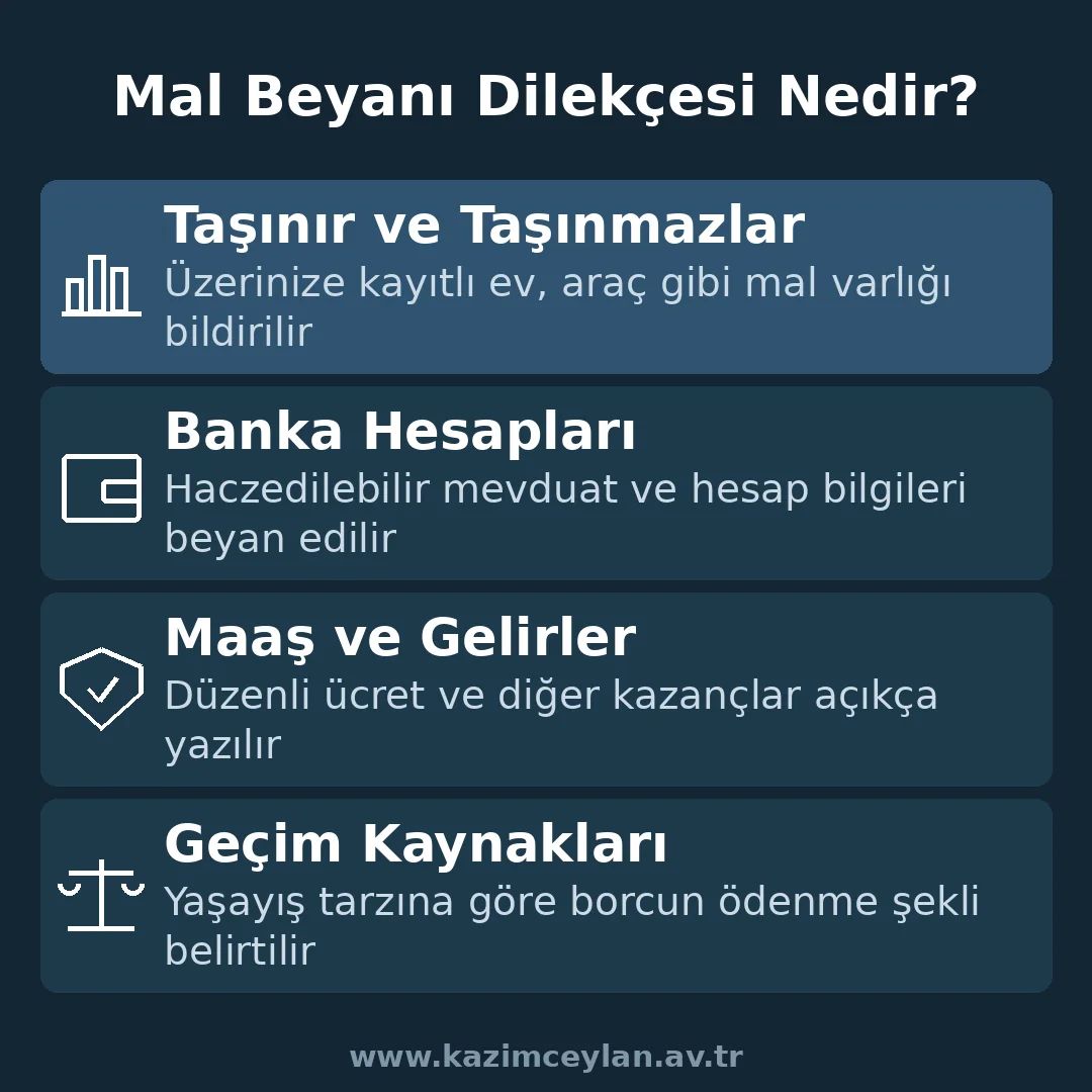 Mal beyanı dilekçesinde bildirilmesi gereken varlıkları gösteren şema