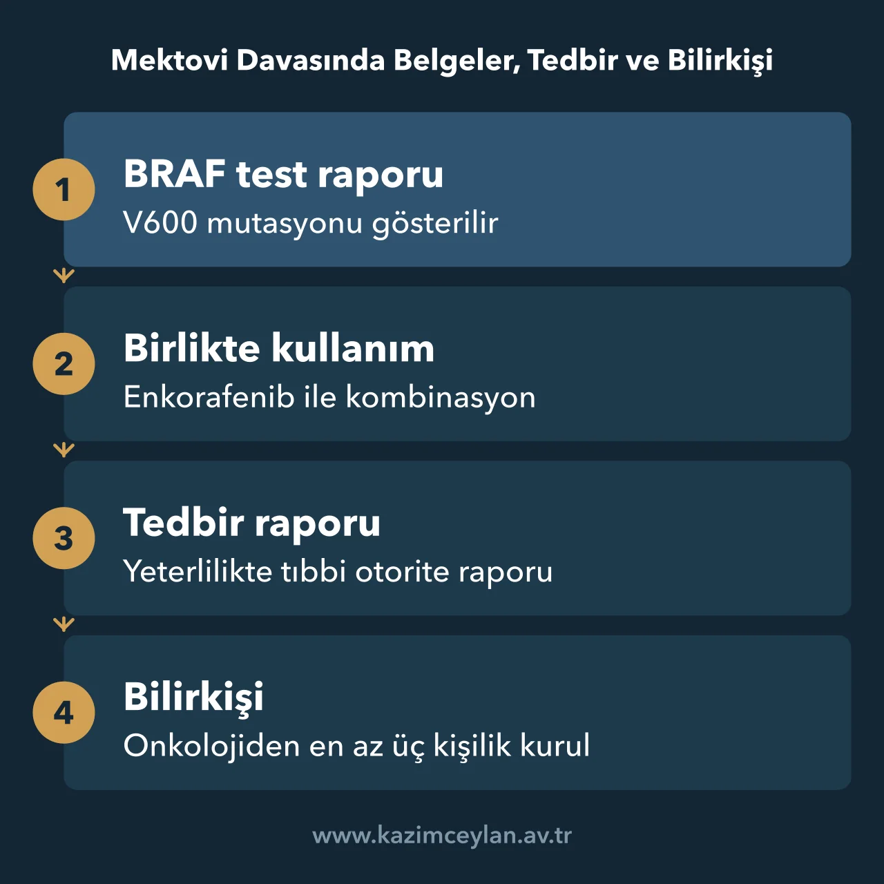 Mektovi Davasında Belgeler, Tedbir ve Bilirkişi Mektovi davasında hazırlanacak belgelerden bilirkişi kuruluna uzanan akış