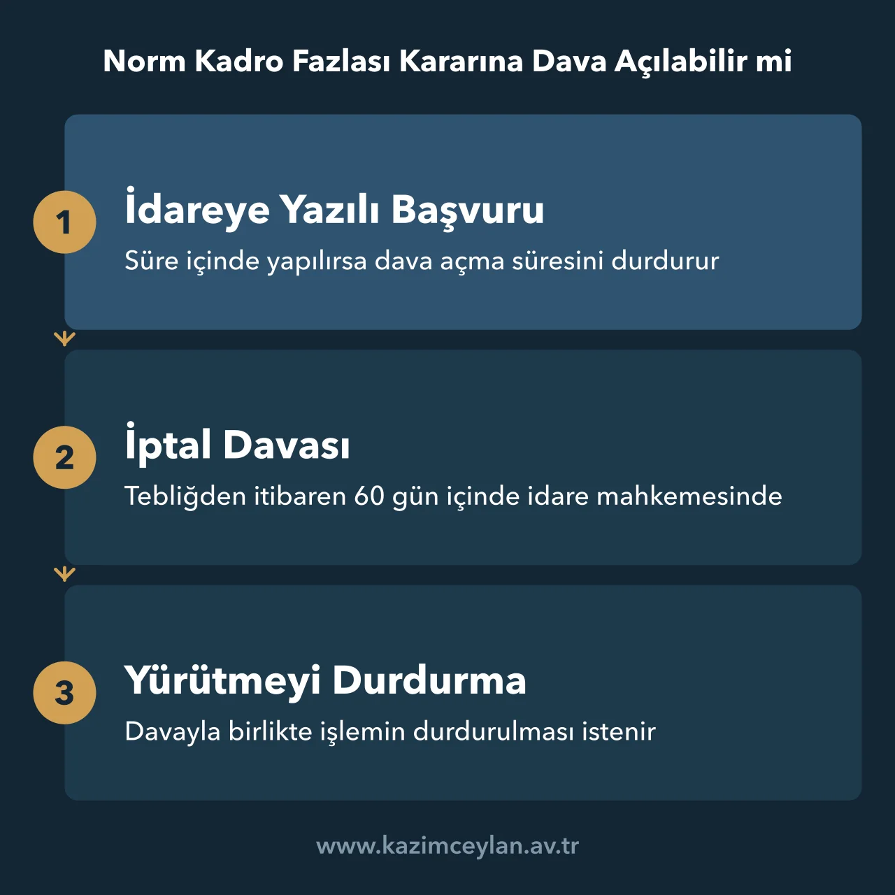 Norm kadro fazlası kararına karşı başvuru, iptal davası ve yürütmeyi durdurma sırası