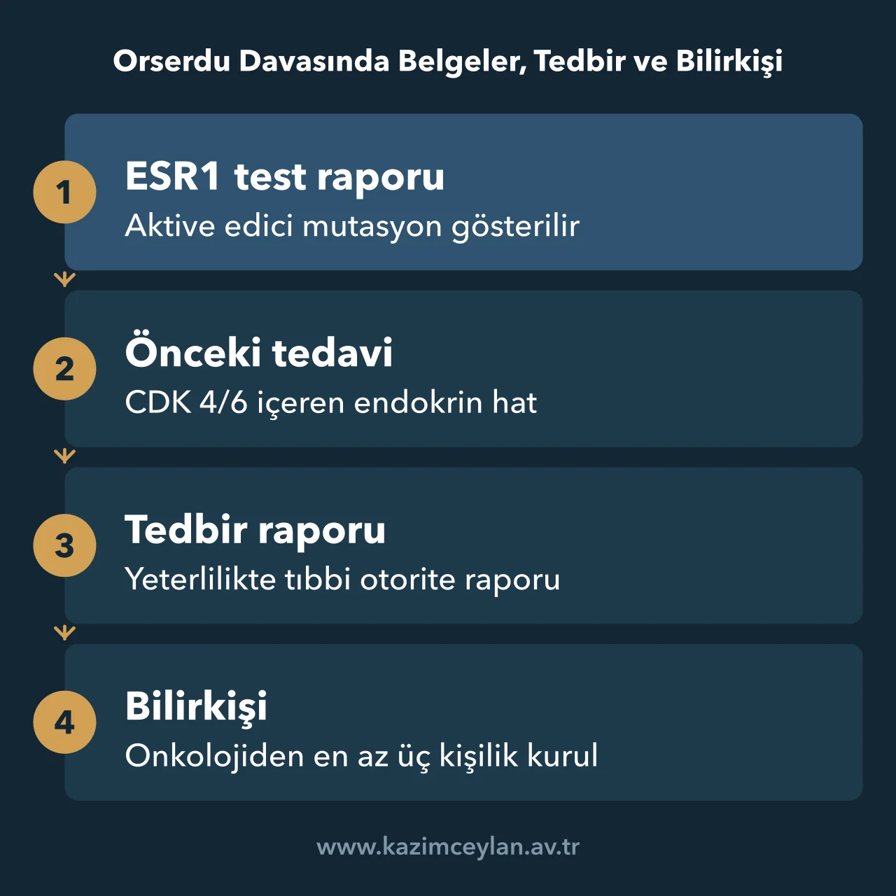 Orserdu Davasında Belgeler, Tedbir ve Bilirkişi Orserdu davasında hazırlanacak belgelerden bilirkişi kuruluna uzanan akış