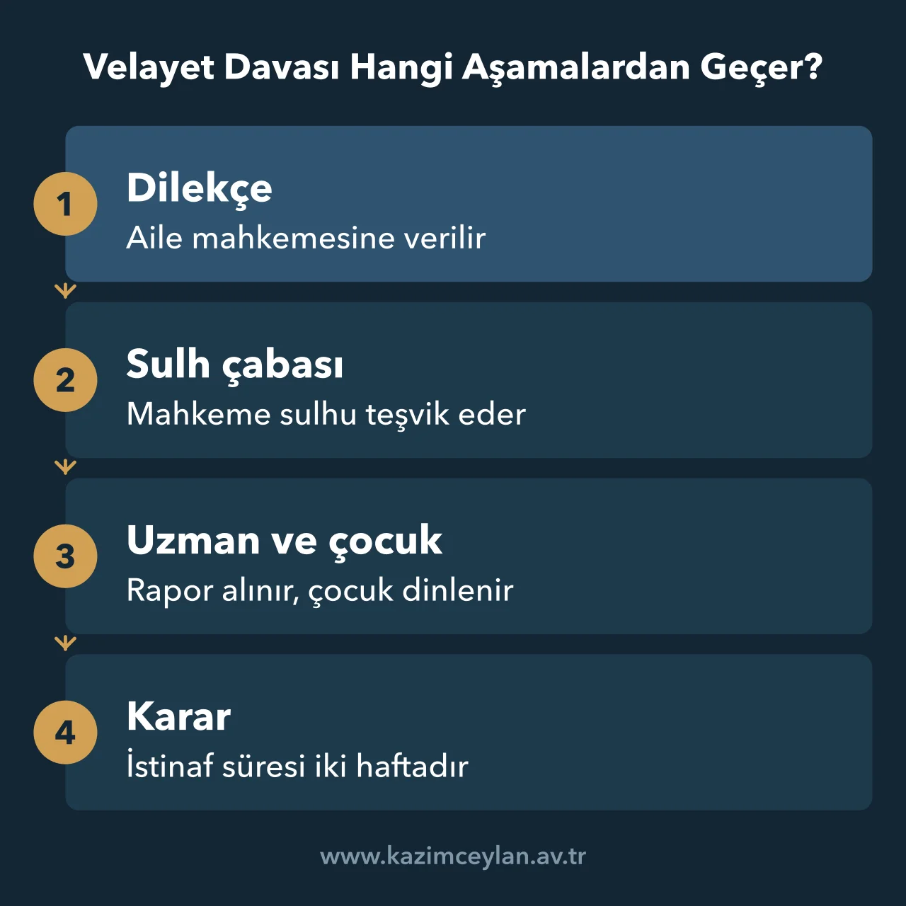 Velayet davasının dilekçeden istinafa kadar aşamalarını gösteren akış